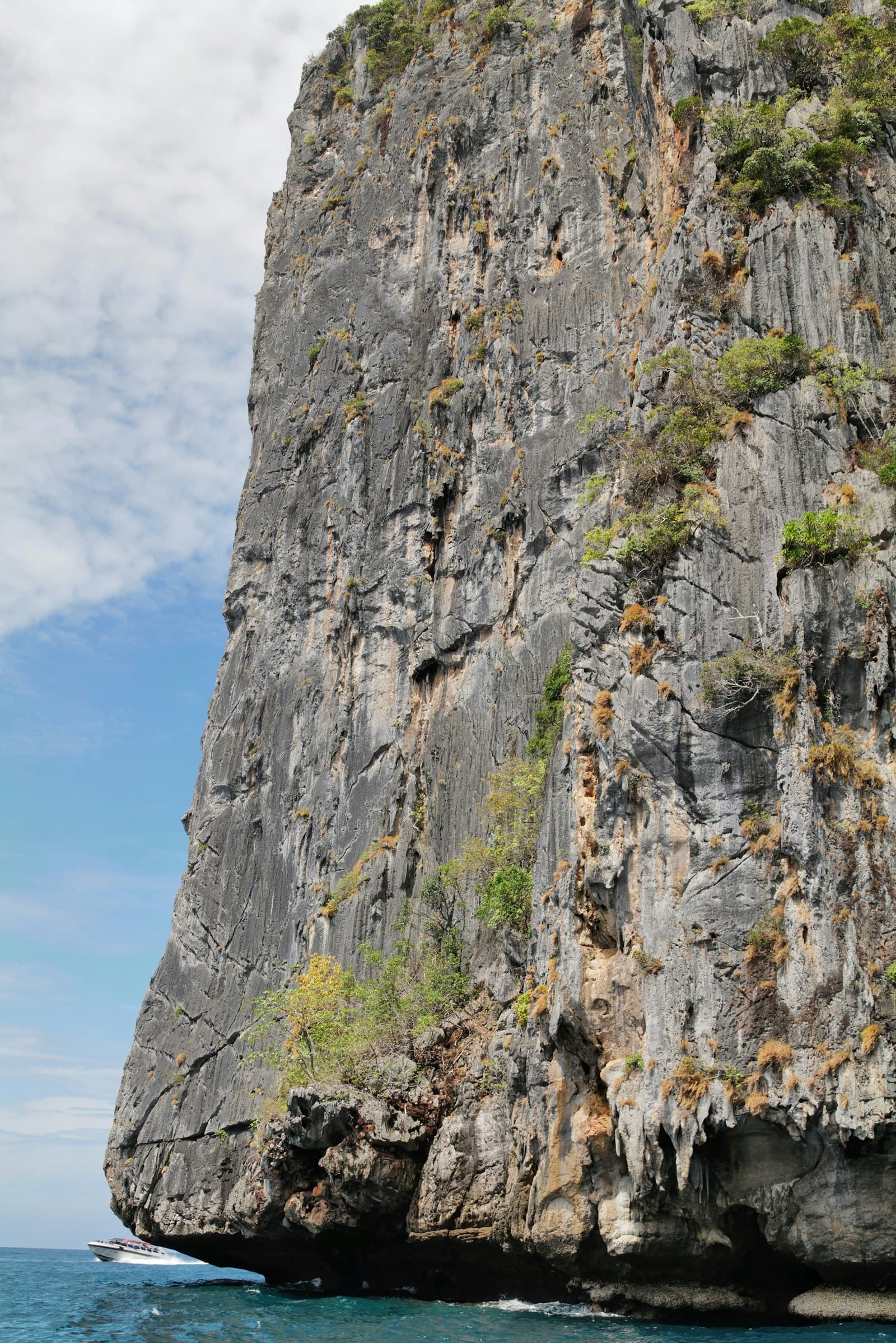 A massive cliff rises above the ocean